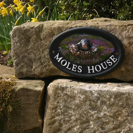 度假居 Moles House